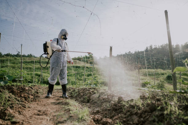 Best Pest Control Cost  in Comstock Northwest, MI