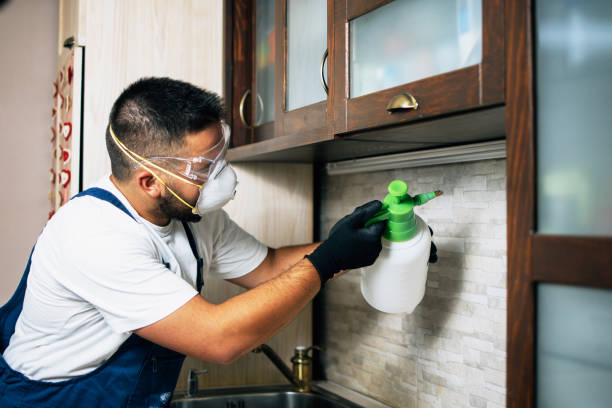 Best Commercial Pest Control Services  in Comstock Northwest, MI