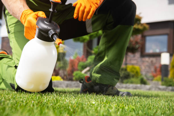 Insect Control in Comstock Northwest, MI