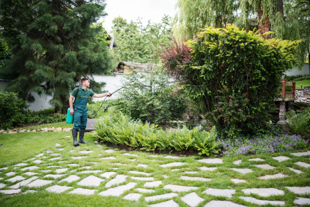 Best Wasp Removal Services  in Comstock Northwest, MI