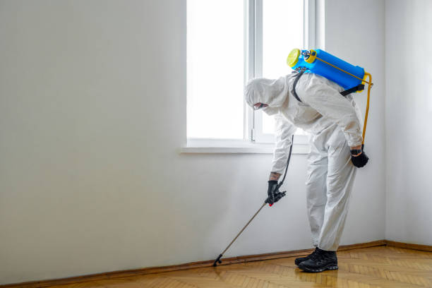 Best Local Pest Control Services  in Comstock Northwest, MI
