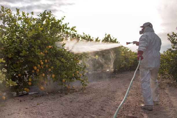 Best Insect Control  in Comstock Northwest, MI