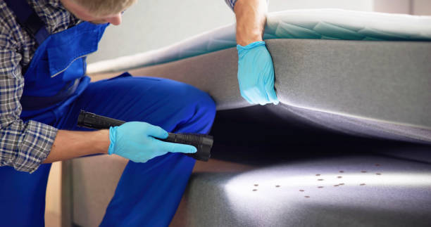 Best Best Pest Control Near Me  in Comstock Northwest, MI