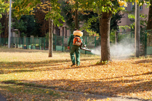 Best Rat Extermination Near Me  in Comstock Northwest, MI