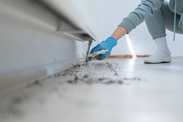 Pest Control Cost in Comstock Northwest, MI