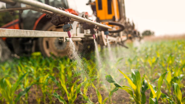 Best Wildlife Control Services  in Comstock Northwest, MI